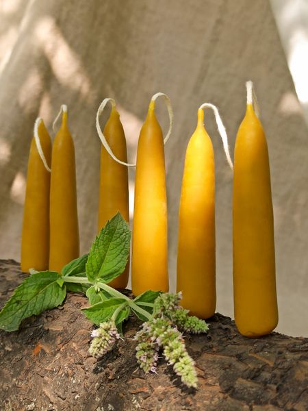 Dip candles from beeswax 7x1.5 cm