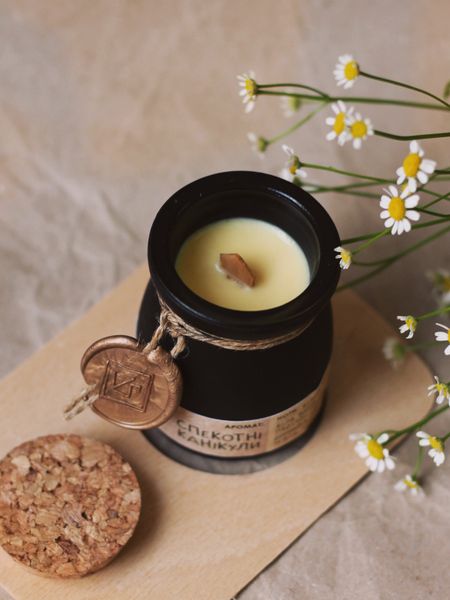 HOT HOLIDAYS - soy wax candle